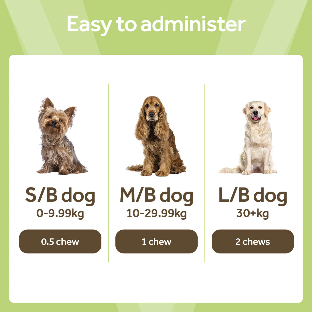 Vetpro Chews Calming Support - Image 4