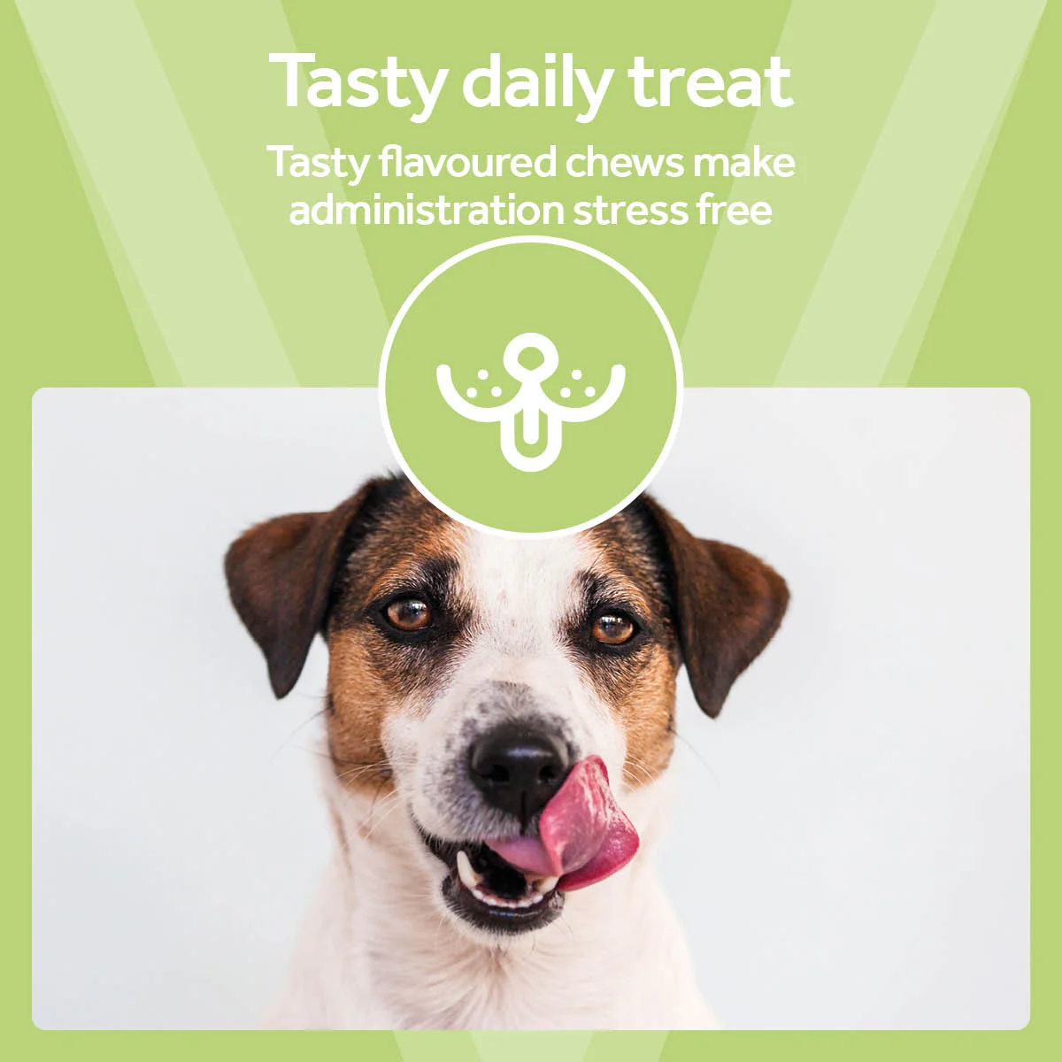 Vetpro Chews Calming Support - Image 5