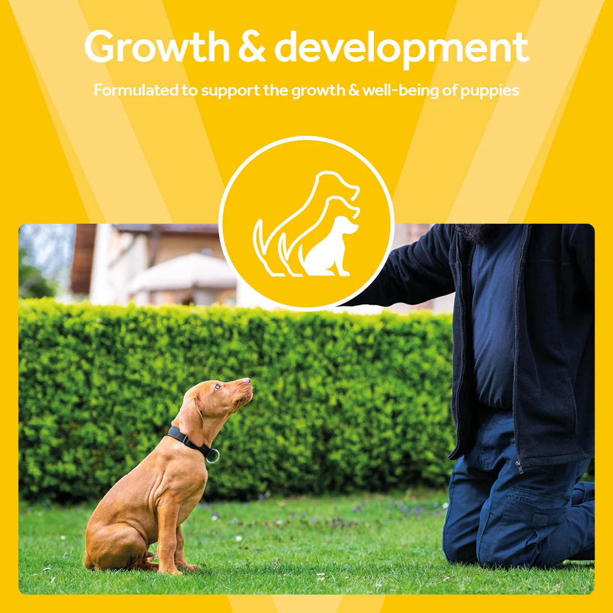 Vetpro Chews Puppy Health & Development - Image 4