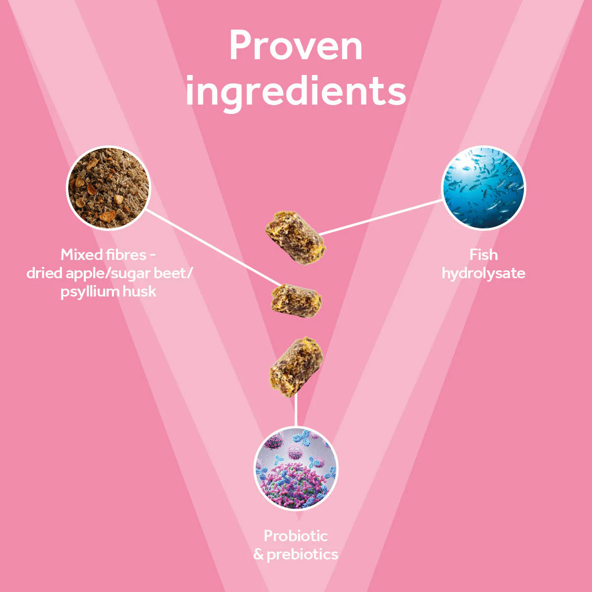 Vetpro Digestion & Anal Gland Support with high fibre - Image 3