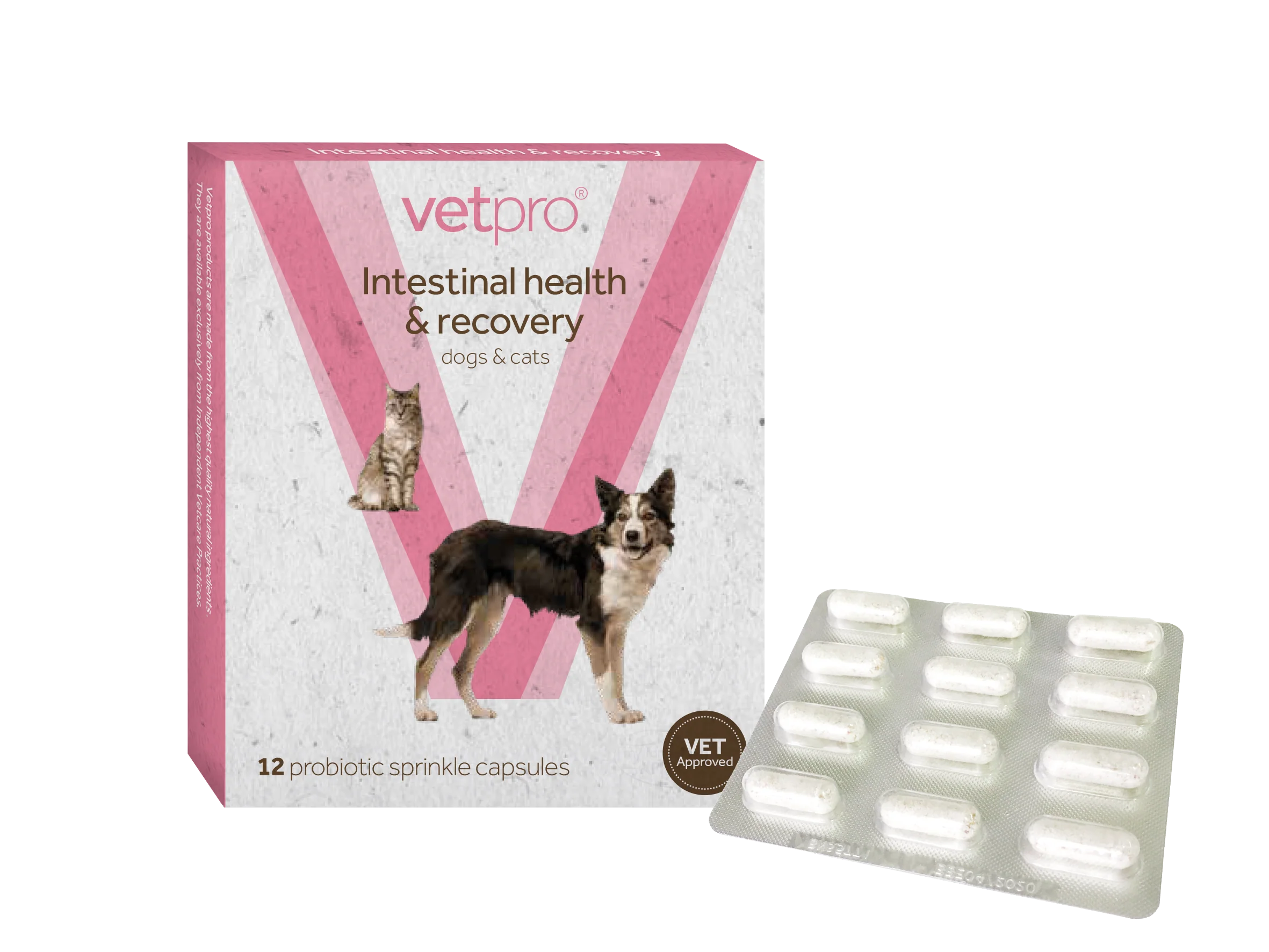 Vetpro Intestinal Health & Recovery - 12 capsules