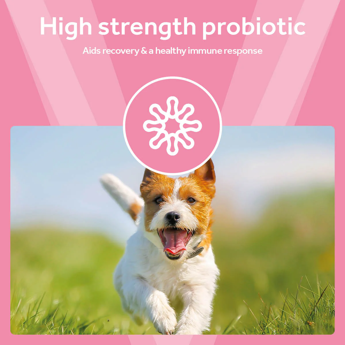 Vetpro Digestive Support - Image 3