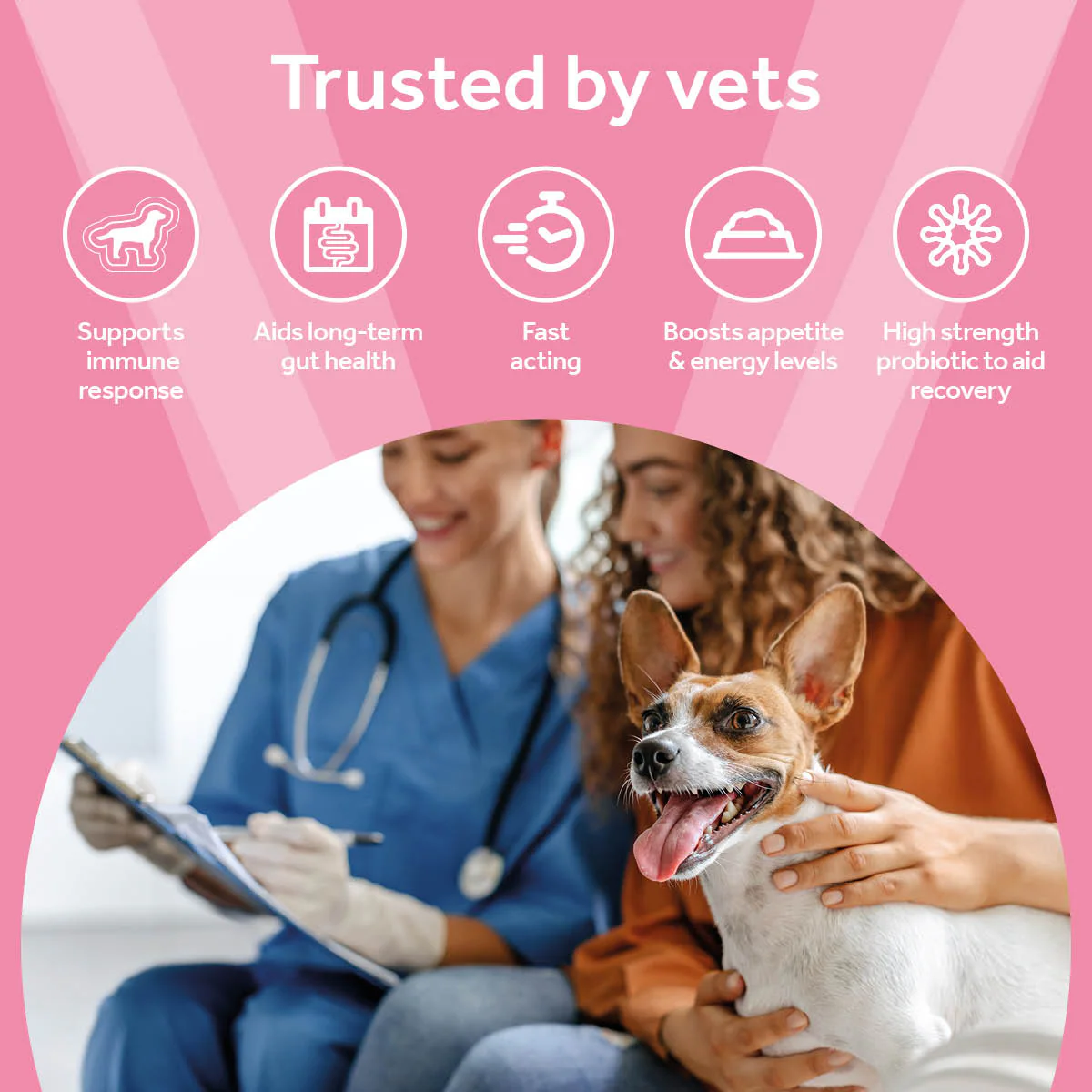 Vetpro Digestive Support - Image 4