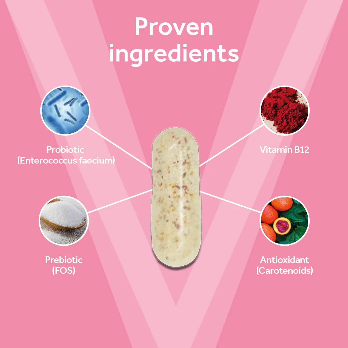 Vetpro Digestive Support - Image 5