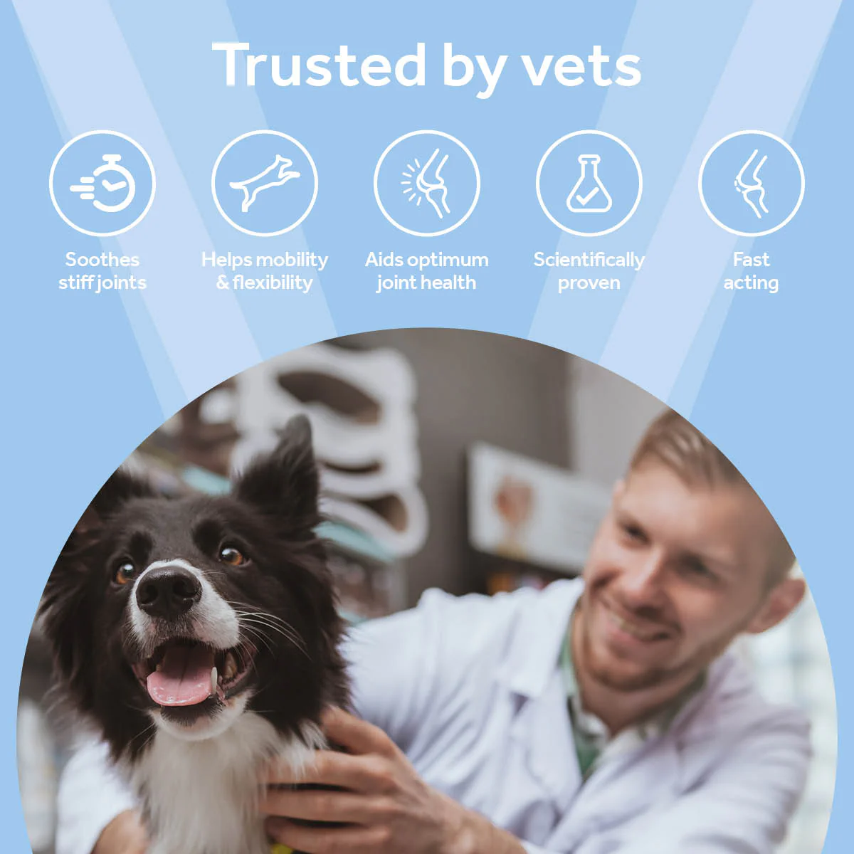Vetpro Mobility Support - 120 capsules - Image 2