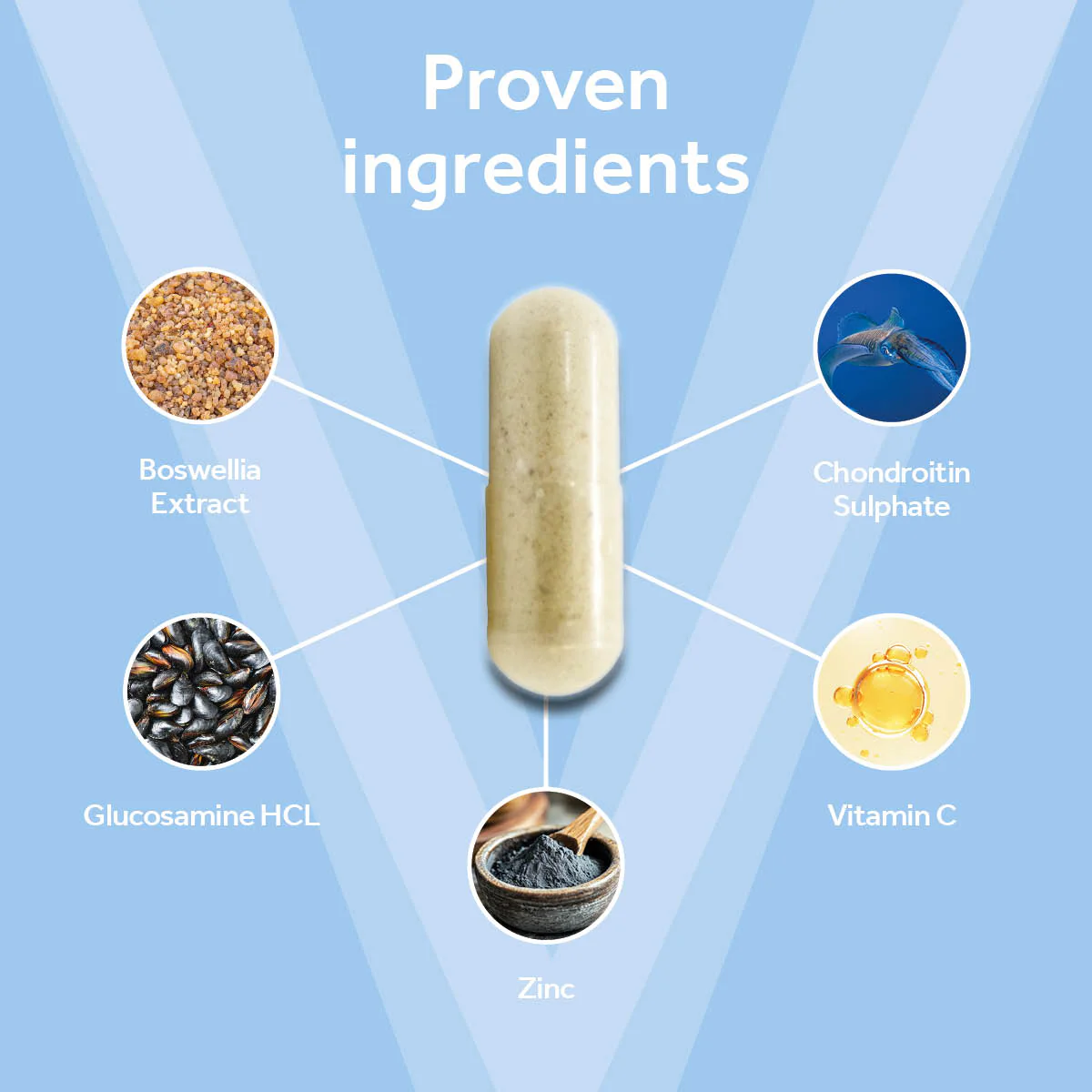 Vetpro Mobility Support - 120 capsules - Image 3