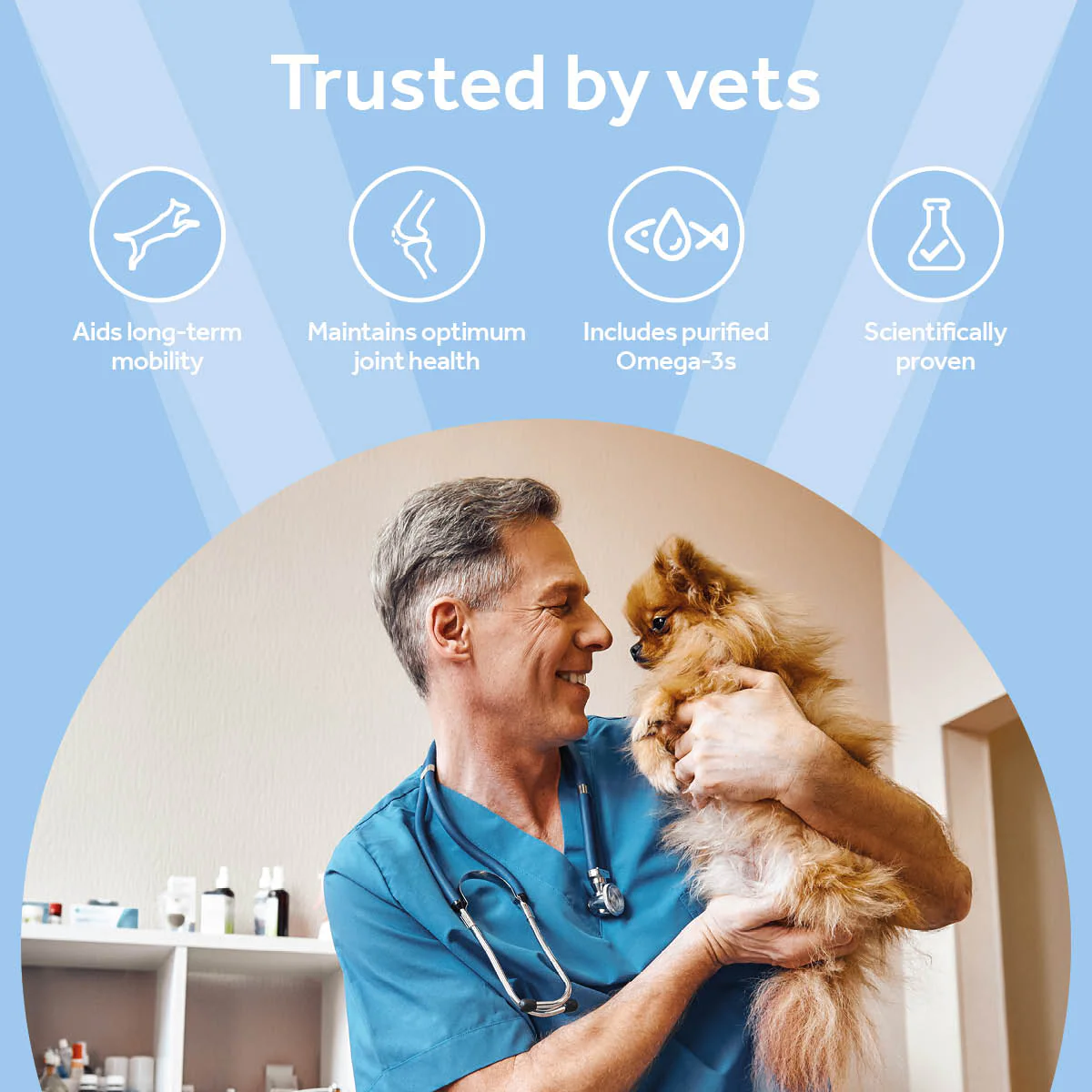 Vetpro Mobility Support with Omega-3's - Image 2