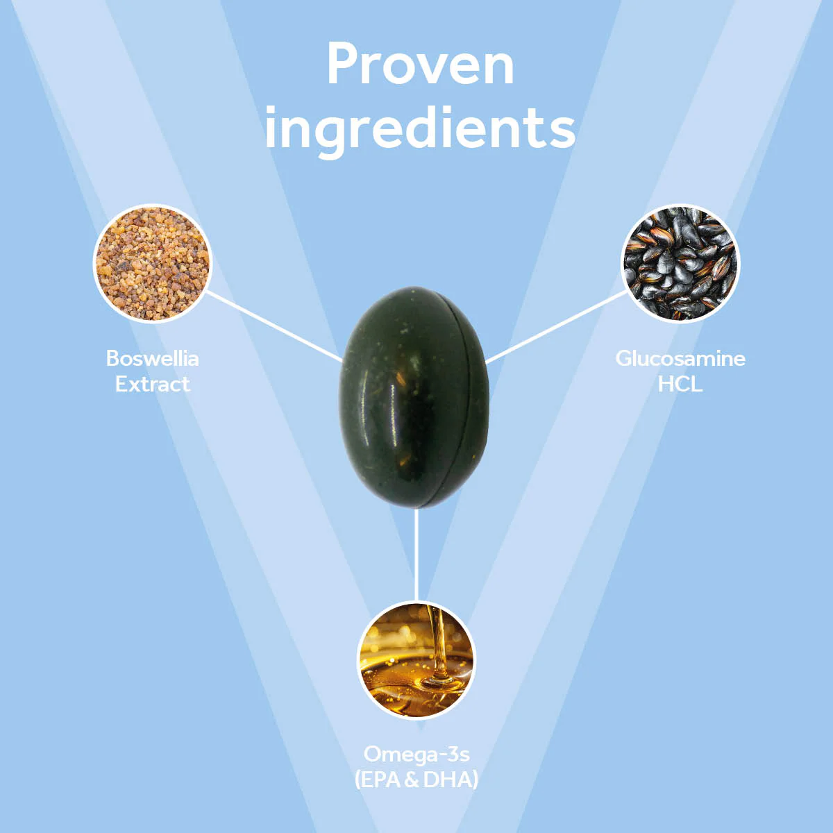 Vetpro Mobility Support with Omega-3's - Image 3
