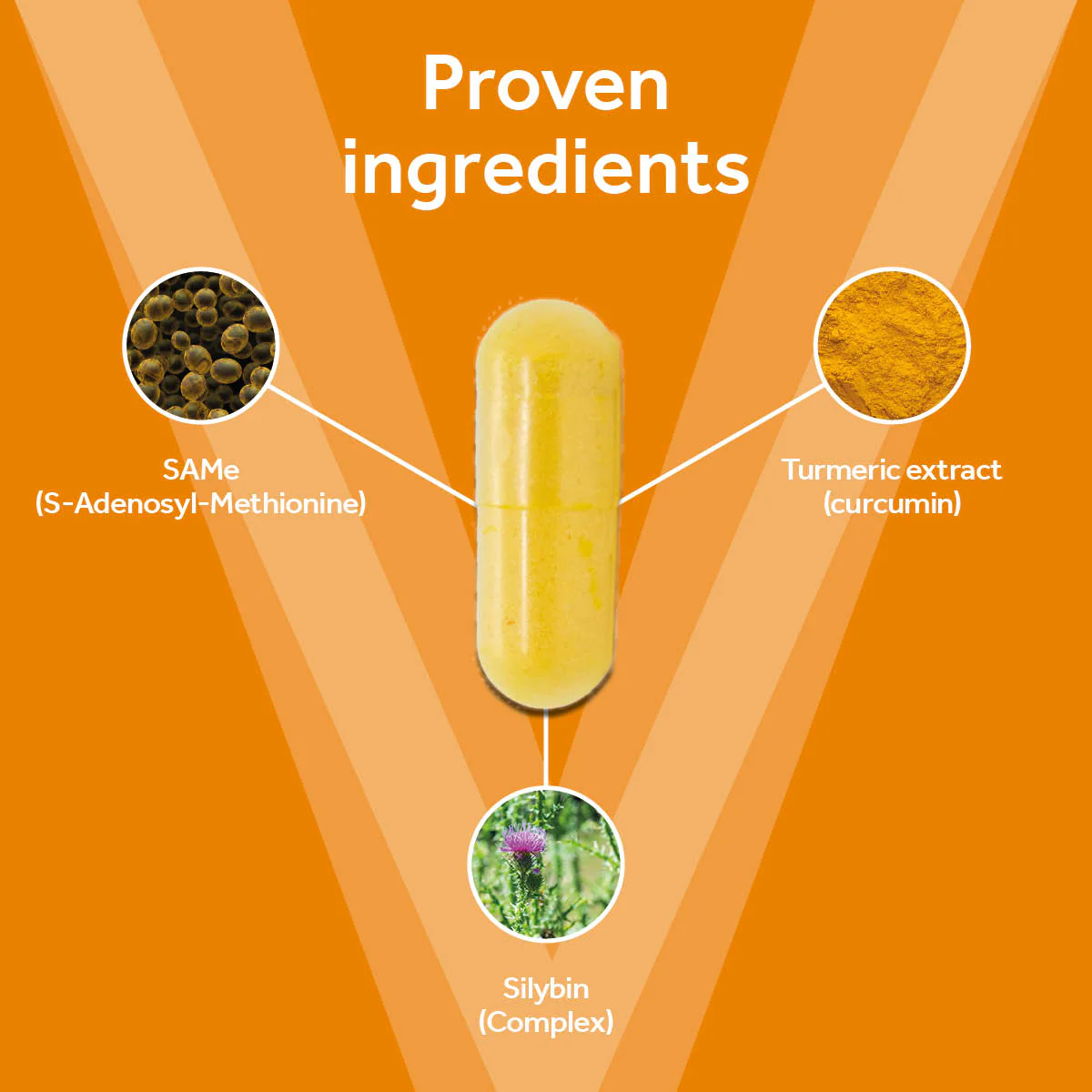 Vetpro Liver Support - Image 3