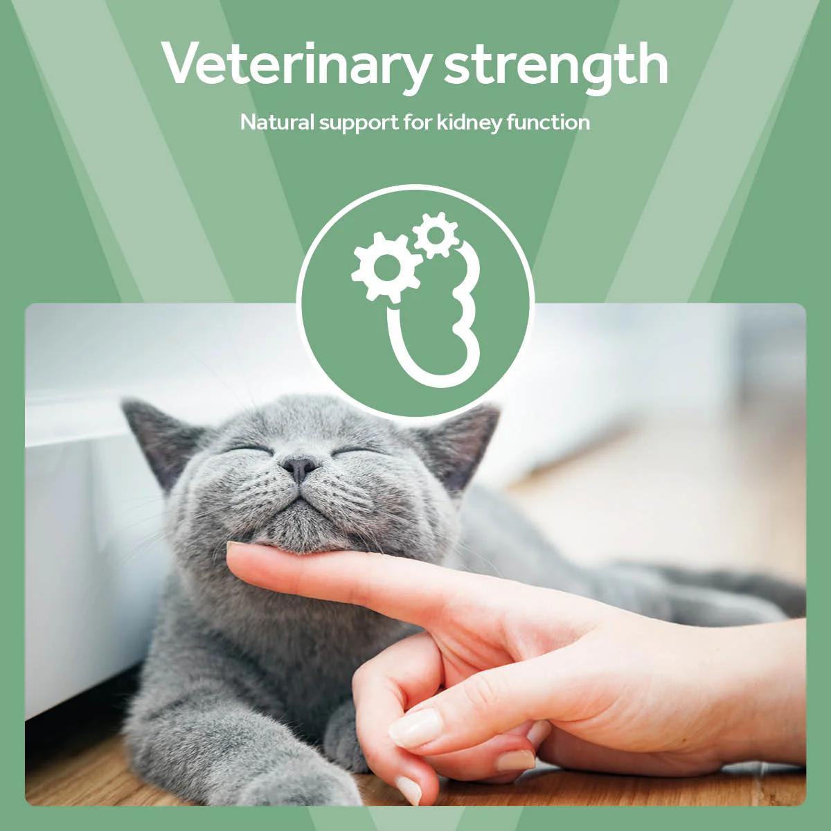 Vetpro Renal Support - Image 4