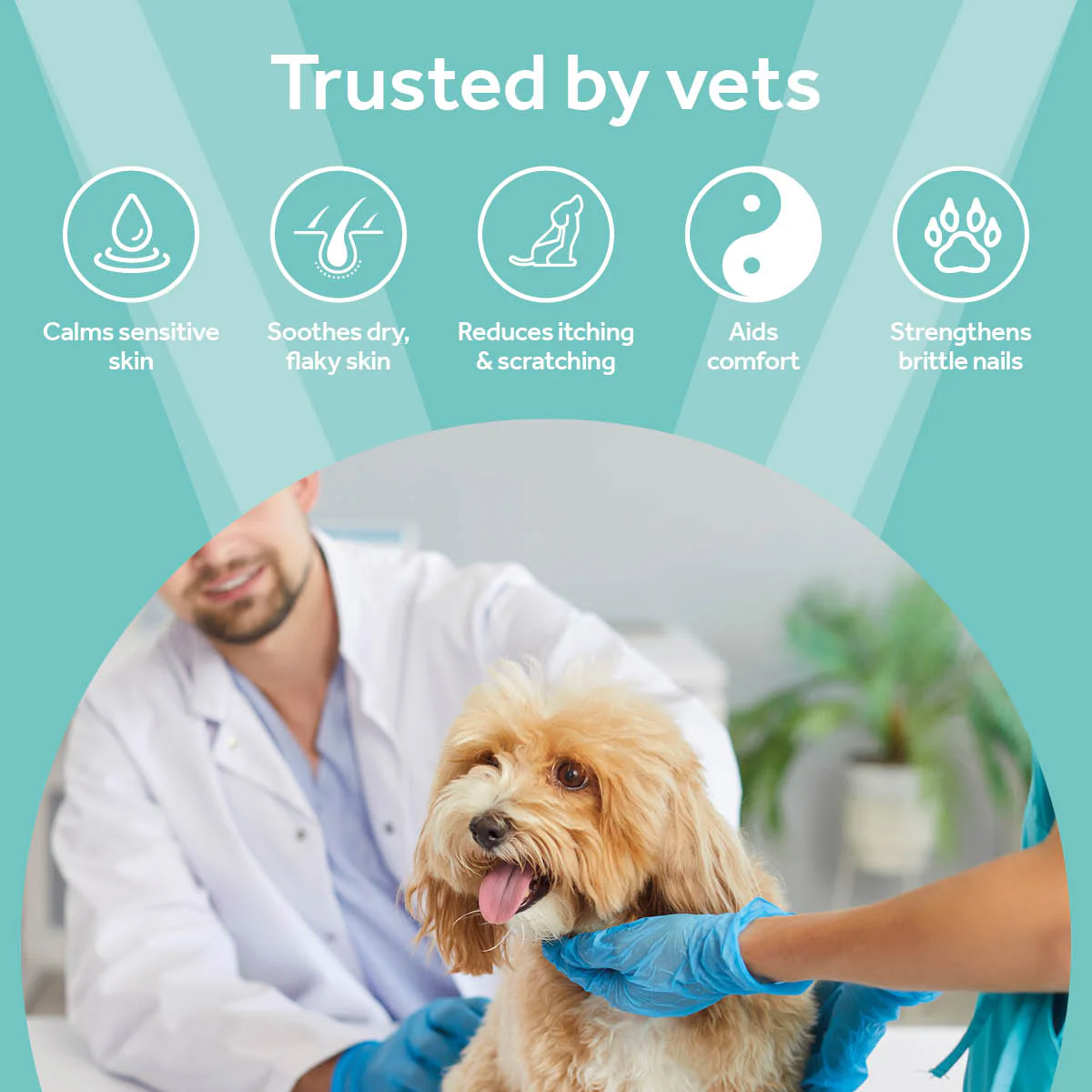 Vetpro Skin & Coat Support - Image 5