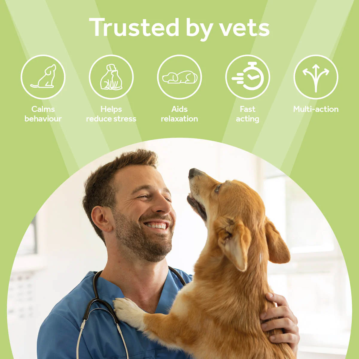 Vetpro Calming Support - Image 3