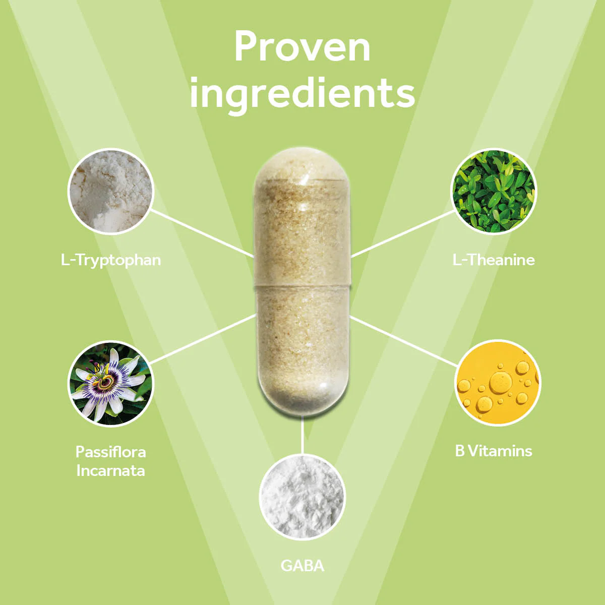 Vetpro Calming Support - Image 4