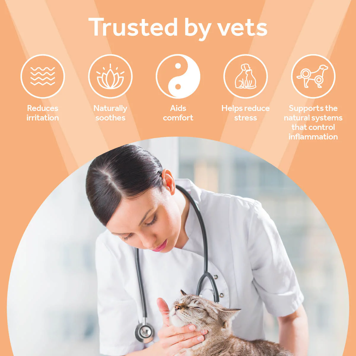 Vetpro Urinary Support - Image 2