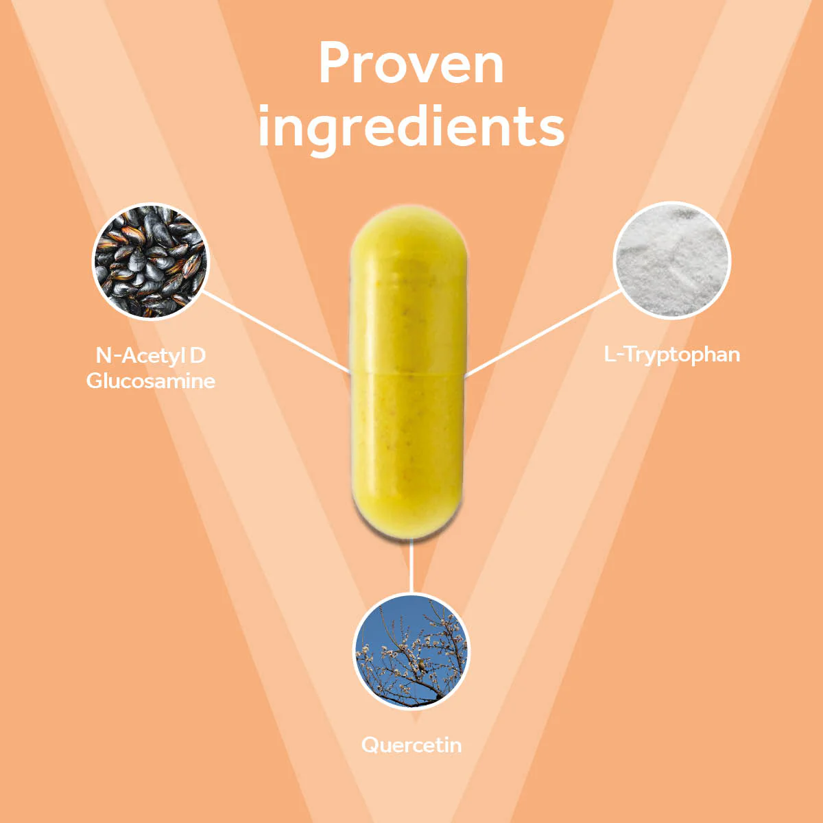 Vetpro Urinary Support - Image 3