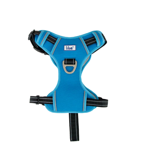 Viva Exercise & Travel Harness Blue (4 sizes)