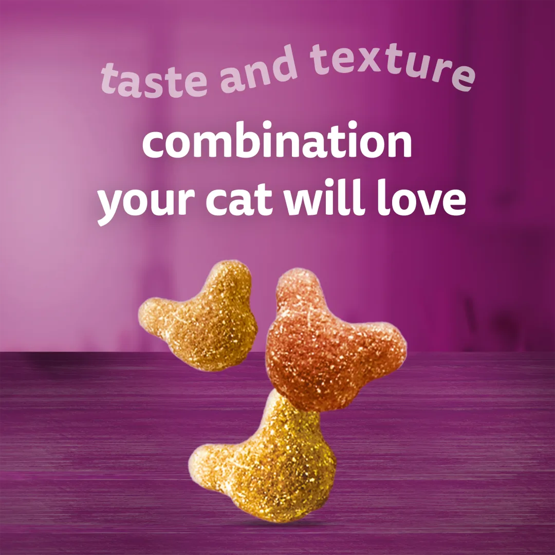 WHISKAS Crunch Cat Treats - Image 5