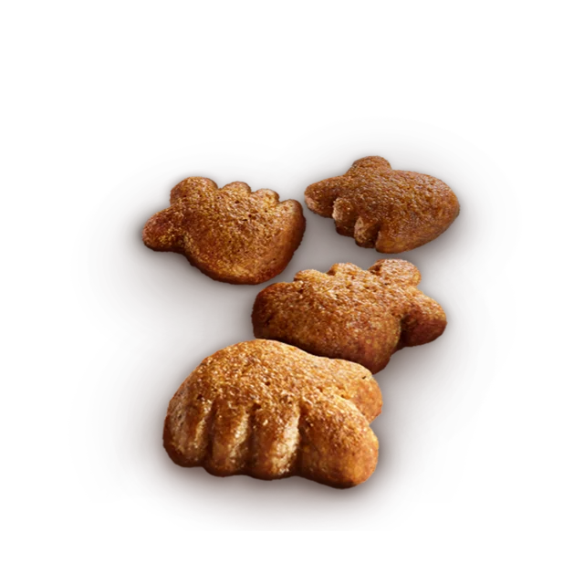 WHISKAS Dentabites Cat Treats with Chicken - Image 2