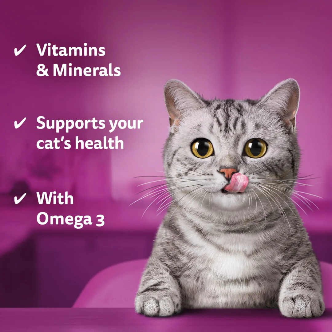WHISKAS Dentabites Cat Treats with Chicken - Image 3