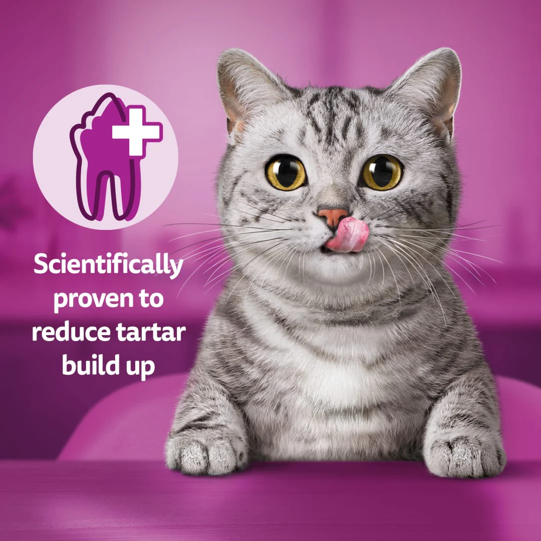 WHISKAS Dentabites Cat Treats with Chicken - Image 4