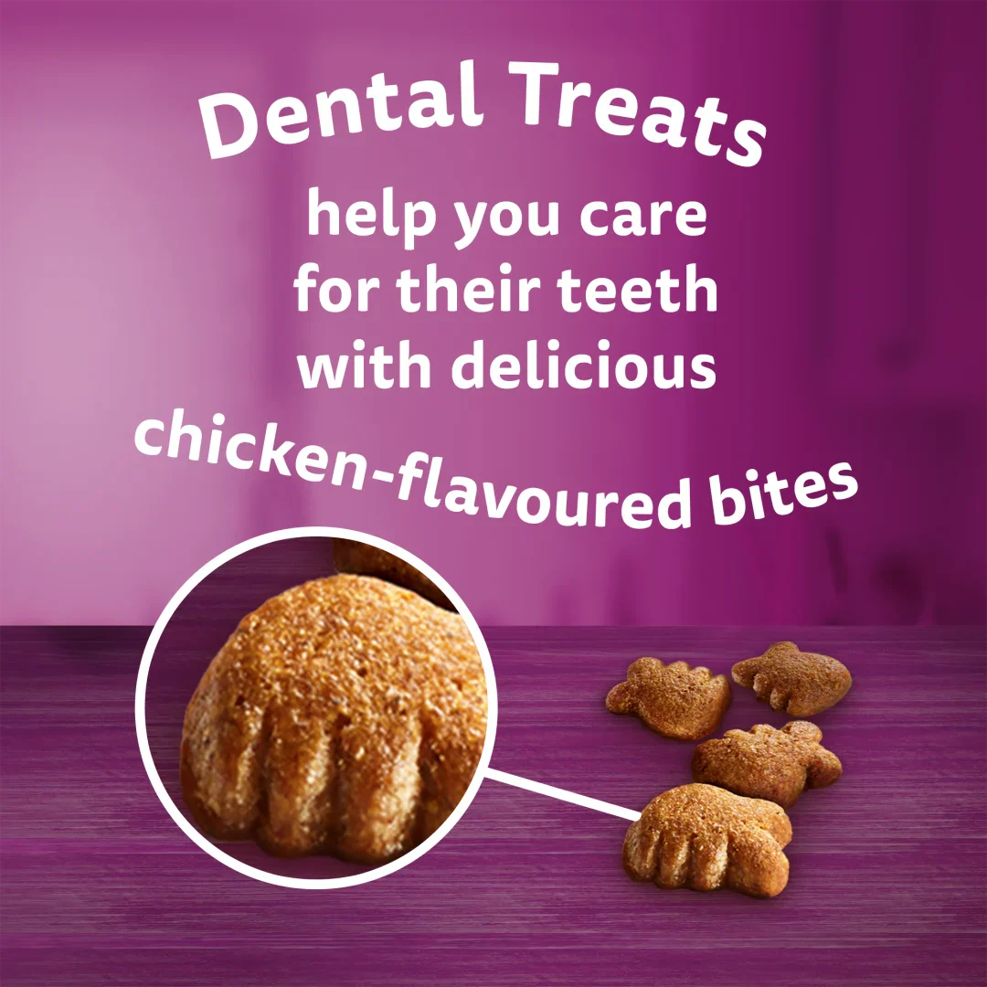 WHISKAS Dentabites Cat Treats with Chicken - Image 5
