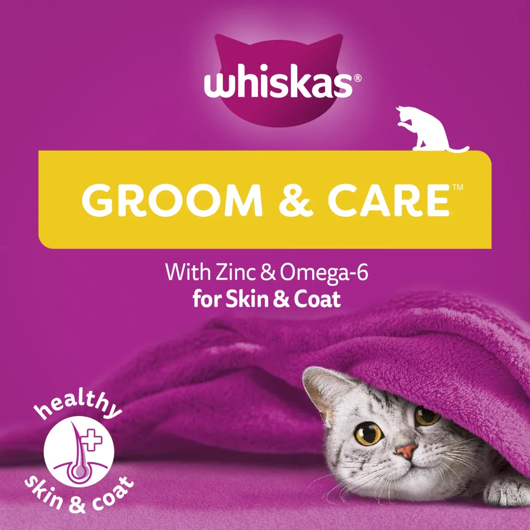 WHISKAS Groom & Care Cat Treats - Image 3