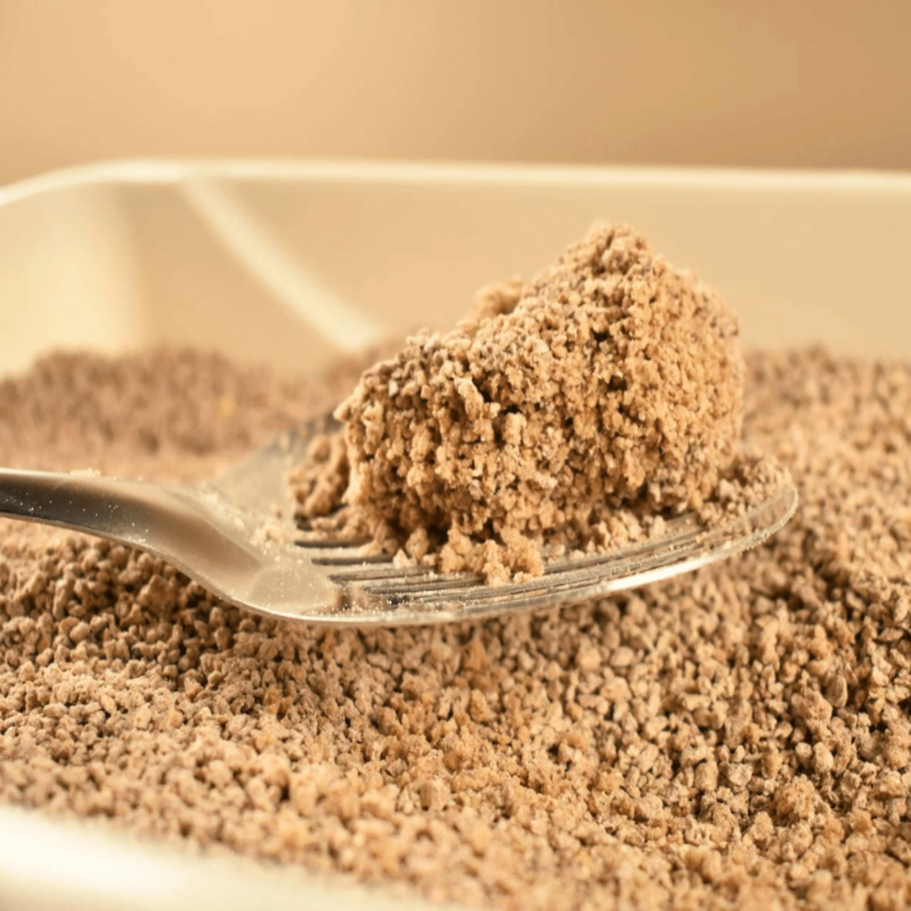 World’s Best Cat Litter Comfort Care - Image 3