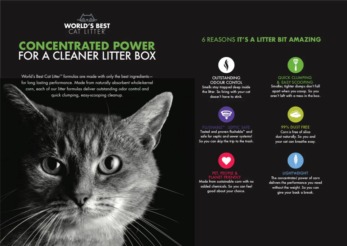 World’s Best Cat Litter Original (2 sizes) - Image 6