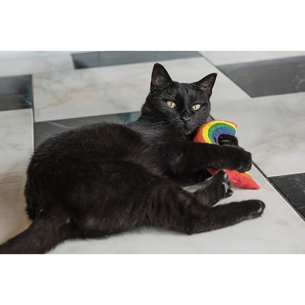 Yeowww Rainbow Cat Toy - Image 5