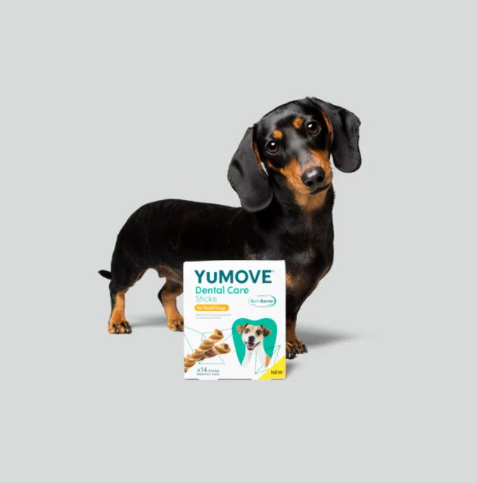 YuMOVE Dental Care For Dogs (14 sticks) - Image 3