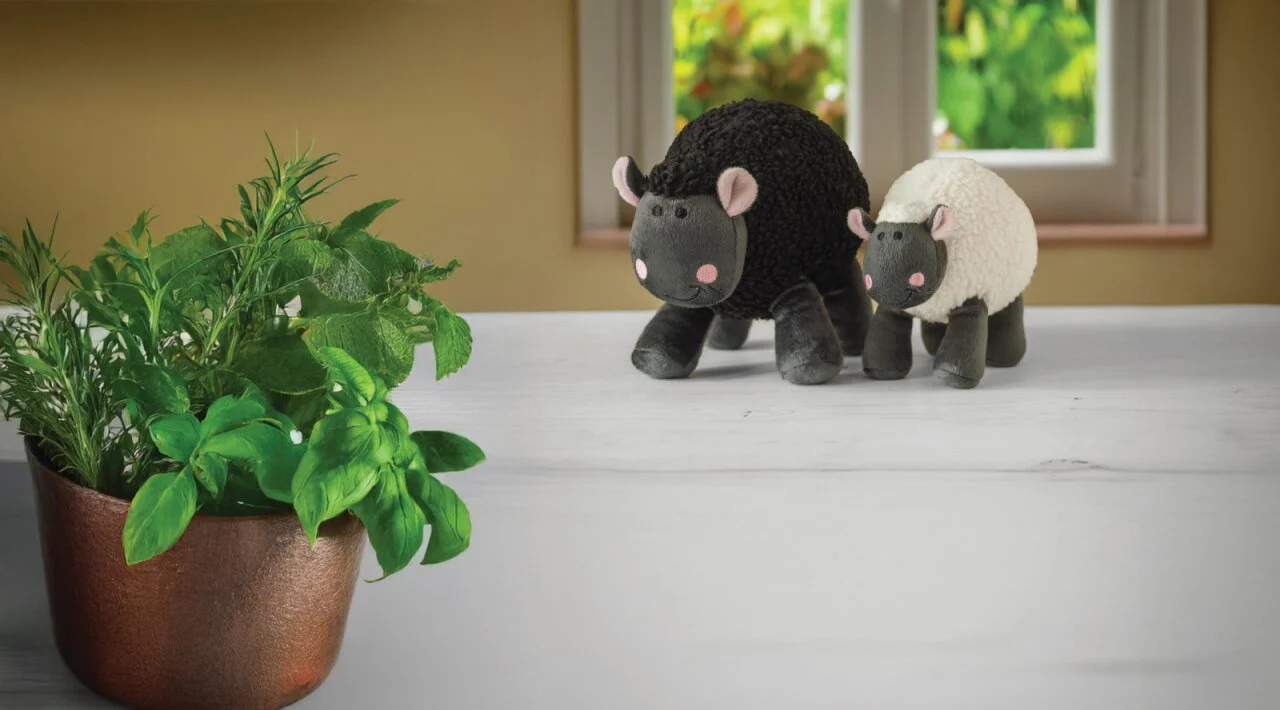 Zoon Woolly Sheep Dog Toy - Image 3